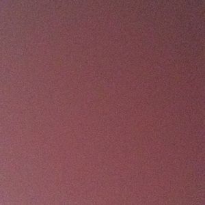 Meet your Posher, Savannah